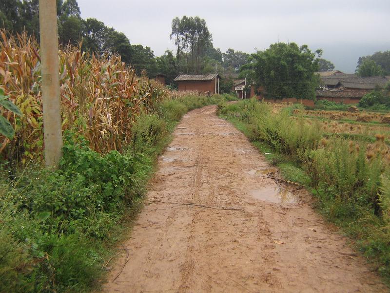 馬房村(雲南省楚雄市蒼嶺鎮竹園村委會馬房村)