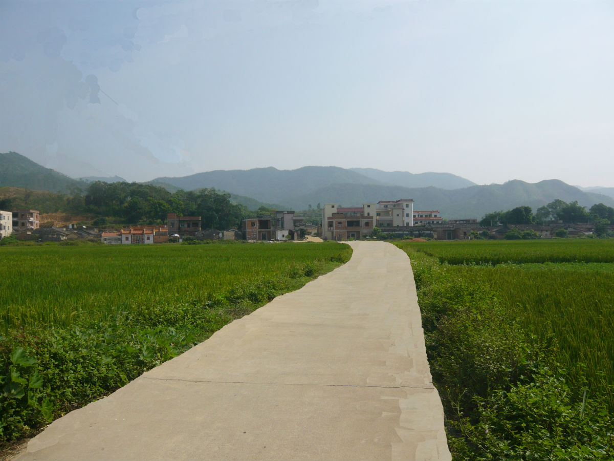 高塘村(安徽安慶市郊區白澤湖鄉高塘村)