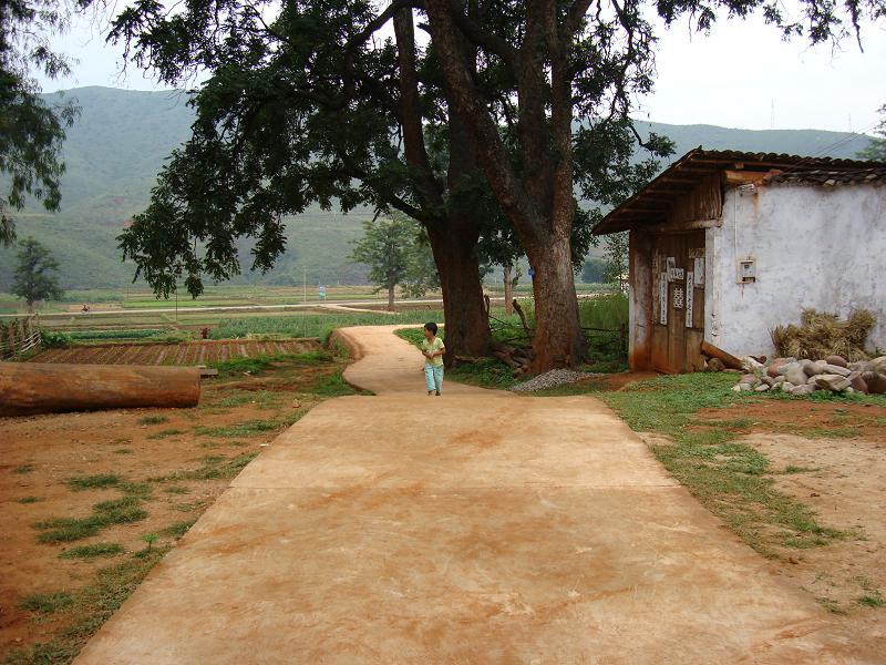 進校道路