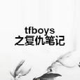 tfboys之復仇筆記