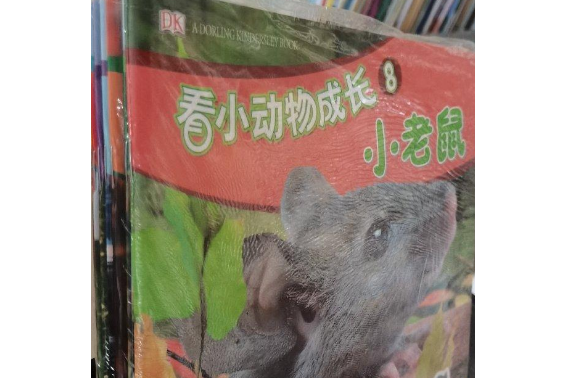 看小動物成長：小馬