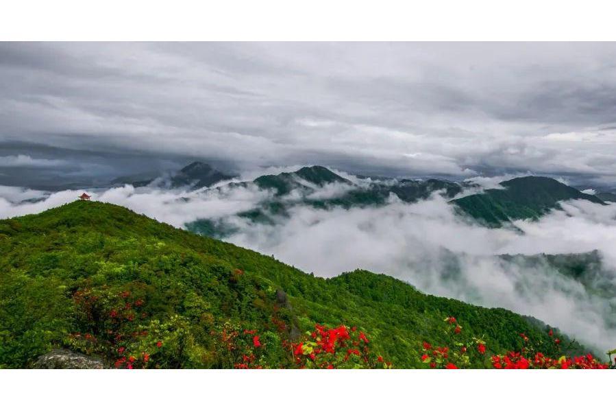 贛州市陽明山國家森林公園