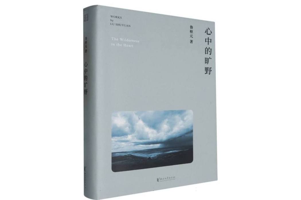 心中的曠野(2024年浙江文藝出版社出版的圖書)