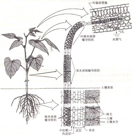 大氣水勢