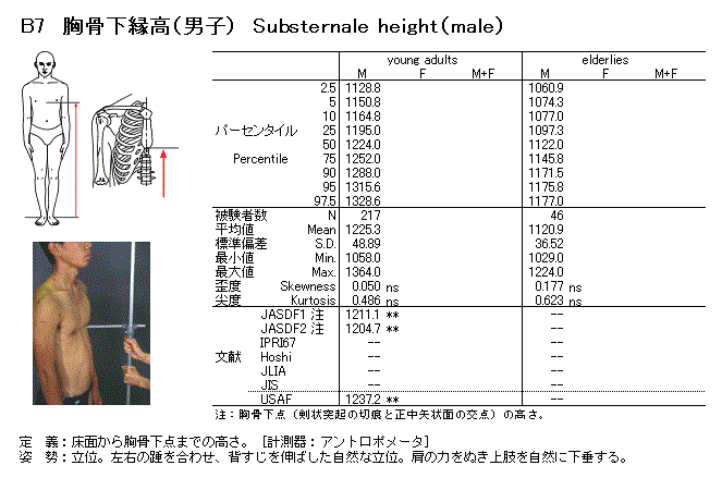 胸骨下緣高