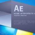 100%徹底掌握After Effects CS5