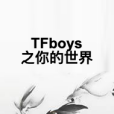 TFboys之你的世界