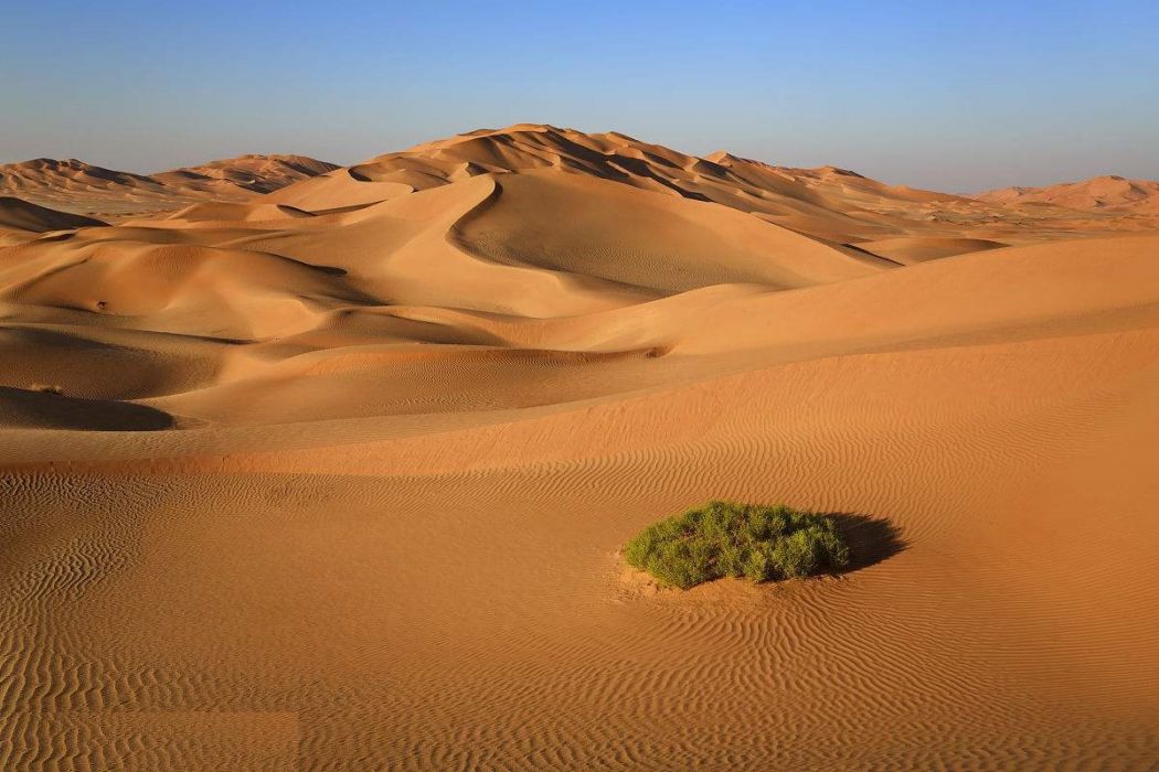 沙漠環境