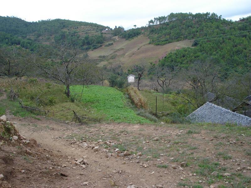 西山冬衣村