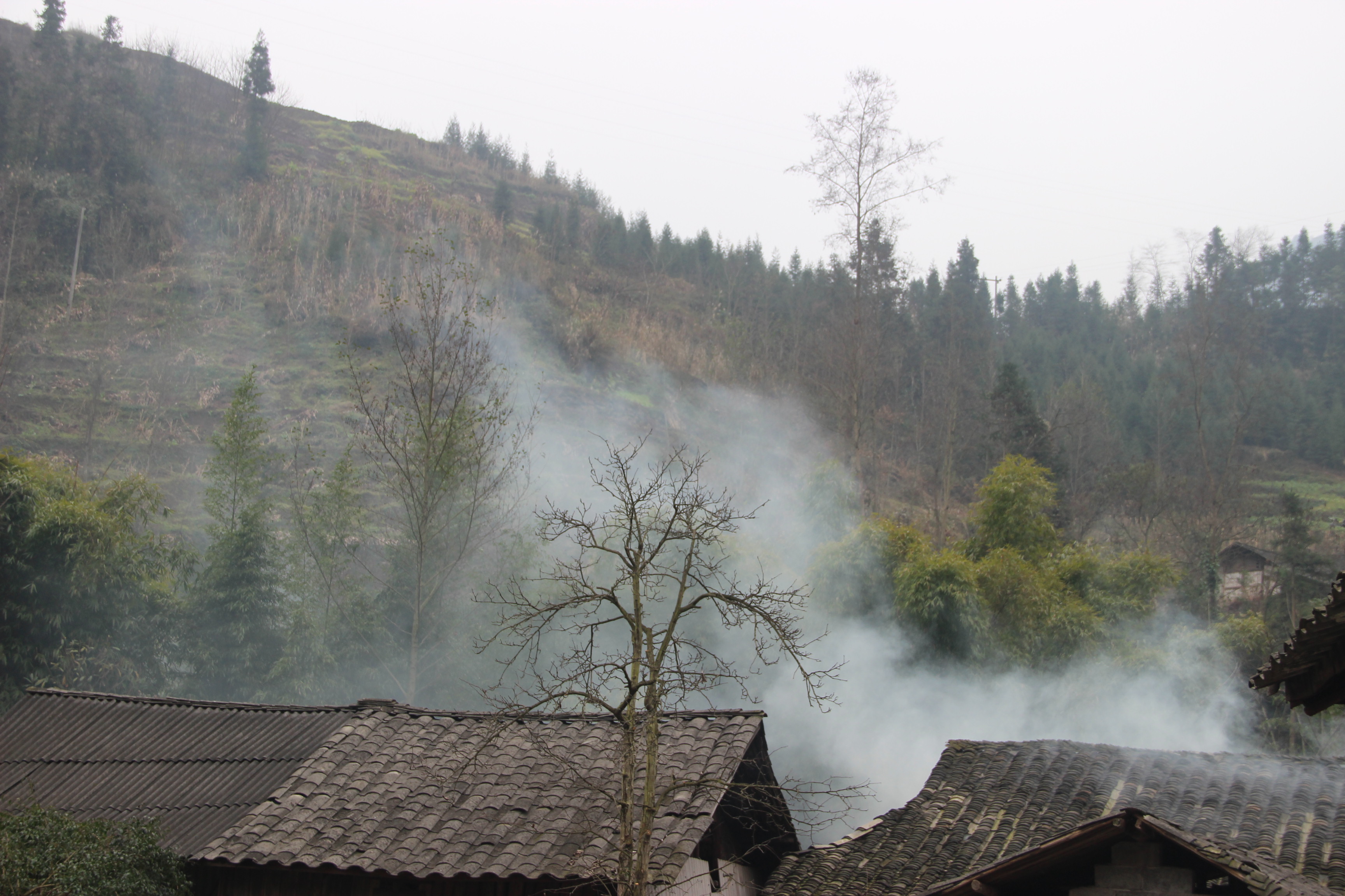 木桿村民居