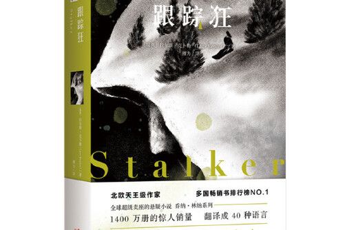 跟蹤狂(2020年現代出版社出版的圖書)