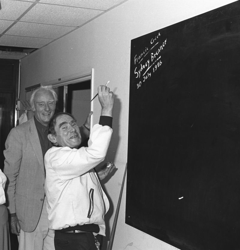Francis Crick 和 Sydney Brenner在MRC實驗室
