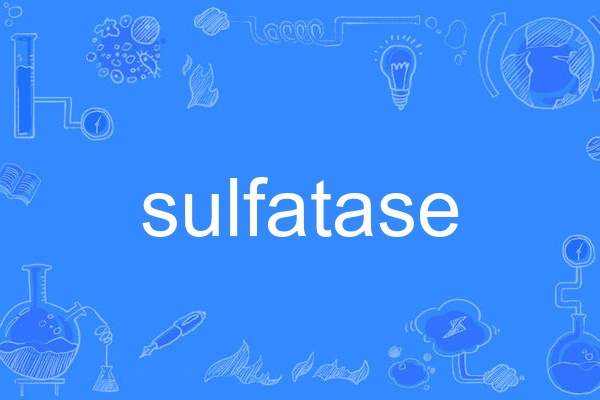 sulfatase