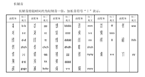 長輔音