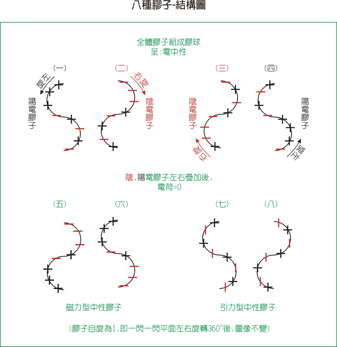 膠子鏈